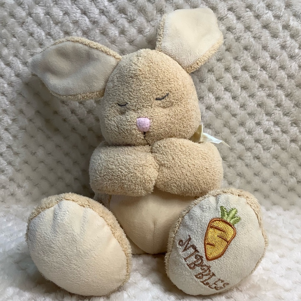 Bright Inspirations Plush Talking Bilingual Nibbles Bunny Rabbit Stuffed Animal